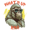 Whats Up Bro