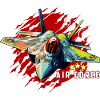 AIR FORCE