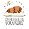 Official Sleeping Shirt Dachshund Pair