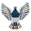 In Flight Pigeon