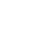 Burmese Cat Burmese Cat Dad