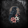 Majestic Black Crow