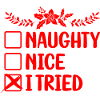 Naughty Nice I Tried