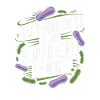Bacteriologist