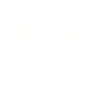 Owl on a branch