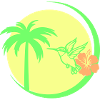 Palm Hummingbird Hibiscus