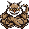 Cat Muscles Fitness