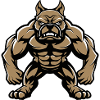 Bulldog Dog Muscles Fitness