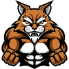 Cat Muscles Workout