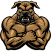 Kangal Dog Muscles Fitness