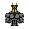 Doberman Dog Muscles Fitness