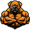 Mastiff Dog Muscles Fitness