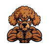 Poodle Dog Muscles Fitness
