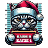 Santa Claus Funny Cats Christmas