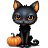 Cat Halloween Black Cat Pumpkin