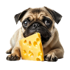 Mops