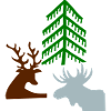 Deer in the forest