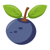 Blueberry Blueberry