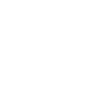 Groupe de cygnes chanteurs volants
