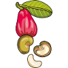 Cashew nuts