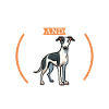 Coffee and Whippet