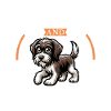 Coffee and Griffon Korthals