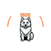 Café et Berger Blanc Suisse