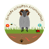 Sheep create biodiversity Heidschnucke