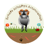 Sheep create biodiversity Skudde