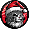 Animal de Noël chat