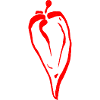Chilli pepper / chili pepper