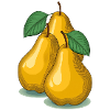 Three ripe yellow pears