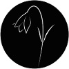 Design "Silent Grace"