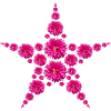 Dahlias Star
