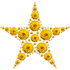 yellow dahlia star