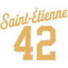 Saint-etienne 42
