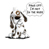 Nope Dog Saying Paws Off