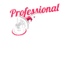 Car detailer