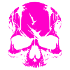 Pink Skull Skull