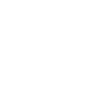 Skull Pirate Rebel