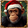 Christmas Chimpanzees