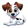 Jack Russel 2