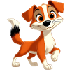 fox terrier