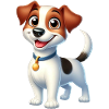 jack russel