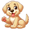 labrador 8