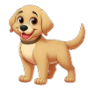 labrador