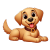Labrador 10