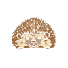 No hugs today hedgehog