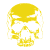 Skull Skull Skull Yellow