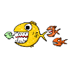 Predatory fish
